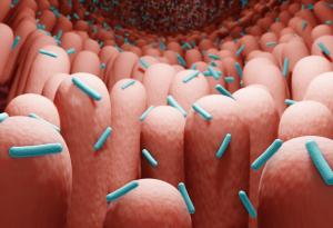 Китайски изследователи разкриват причинно-следствени връзки между човешките микроби и дълголетието