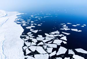 Сателитни снимки показват, че през юли морският лед в Антарктика е намалял рекордно