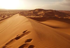 Повишаването на температурите може да предизвика 75% повече дъжд в пустинята Сахара до края на века