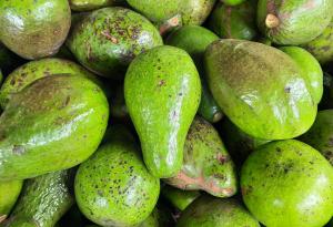 Авокадото действа като антибиотик