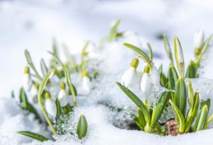 Преживяхме втората най-топла зима в света и в Европа