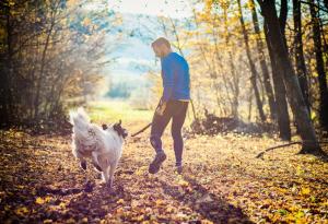 По-малко от 5000 крачки на ден са достатъчни за подобряване на здравето