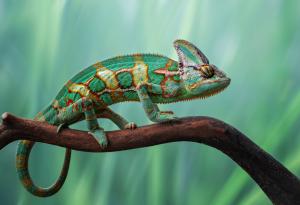 Учени създадоха строителен материал-хамелеон