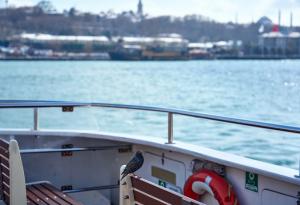 Къде си почиват птиците, когато летят над океана?