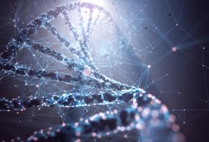 Учени откриха ключов ензим за борба със затлъстяването и диабета