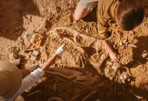 Откритите в Южен Китай вкаменелости са на птицечовкови динозаври отпреди 70 милиона години