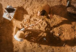 Във Великобритания откриха следи от динозаври на 166 милиона години