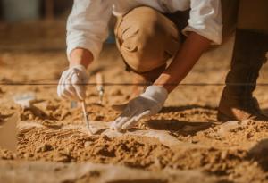 Откриха вкаменелости на звяр с остри зъби, живял преди първите динозаври