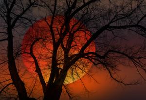 Рядкото „кърваво“ лунно затъмнение във вторник ще се повтори чак през 2025 г.!