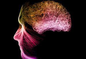 Медитацията може да промени мозъчната ви активност