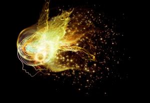 Шанън Л. Алдър за несигурността