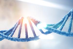 Епигенетичните промени регулират генната експресия, но какво регулира тях?