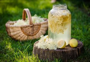 Полезен ли е сокът от бъз?