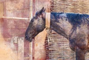 Постъпките на дявола са невинни, останалото сами си го правим