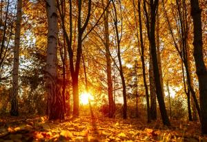 Вече няма съмнение – 2023 г. ще бъде най-топлата година