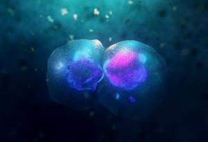 Устройство, ползващо изкуствен интелект, би могло да ускори диагностицирането на рак на кожата в труднодостъпни места по света