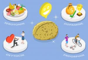 Как да стимулираме производството на хормоните на щастието