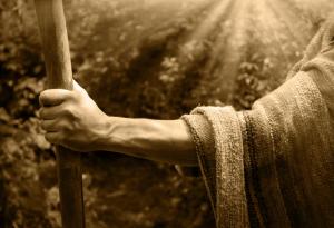 Притча за стените и мостовете между хората