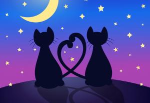 Чарлз Буковски: търсете човек, с когото да останете дете