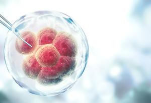 Създадоха човешка яйцеклетка от кожни клетки – пробив с потенциал за лечение на безплодие