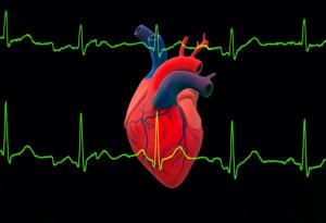 Огромно проучване свързва 99% от сърдечните пристъпи и инсулти с четири рискови фактора