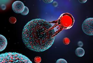 Имунната система тежи колкото един ананас