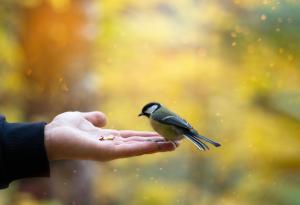 Ако нямате човечност, всичко останало не струва нищо