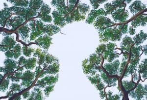 Не проваляйте днешния хубав ден в мисли за вчерашния лош