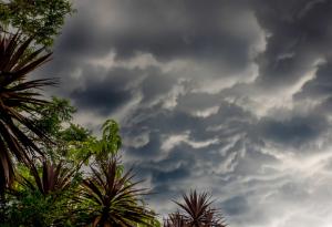 Природният феномен Ла Ниня ще бъде краткотраен