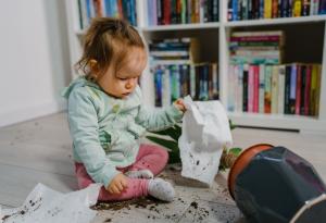 Второто дете е по-палаво. Защо?