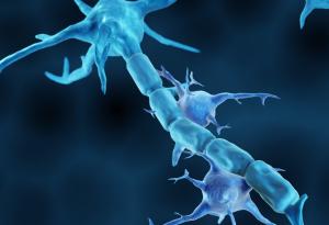 Учените изпробват обещаващ нов подход в борбата за лечение на автоимунните заболявания