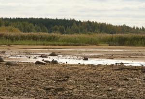 Нивата на подпочвените води по света намаляват с бързи темпове
