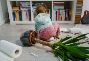 Защо вторите деца са по-непокорни