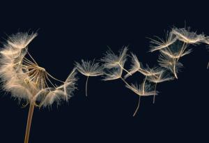 Не си губете времето