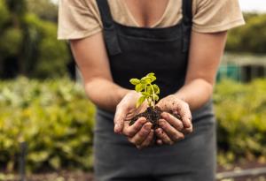 Иновативен процес превръща урината в кристален тор с бавно освобождаване