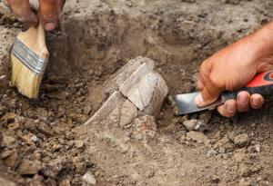 Каменни сечива в Украйна са най-старото доказателство за съществуването на хора в Европа 