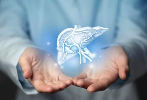 Откриха нови възпалителни механизми при чернодробни заболявания и рак на черния дроб