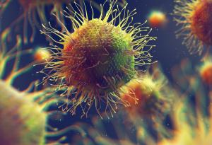 Хората предават повече вируси на животните, отколкото те на нас