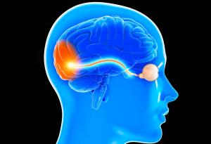 Зрителният нерв влиза в критериите за диагноза на множествена склероза