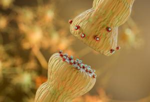 Проучване поставя под въпрос ролята на хормона на любовта