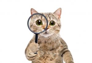 Мъдростта се придобива не от четене на книги, а на хора.