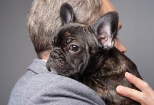 10 безценни урока от животните