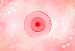 Китайски учени патентоват нов метод за замразяване на яйцеклетки