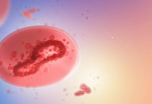 Маймунската шарка често се предава преди появата на първите симптоми