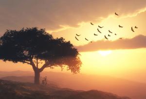 Притча за сполуката и грешката