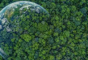 Какво да очакваме от COP28 или преговори за климата в петролна държава