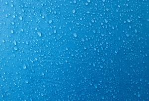 Учени почерпиха вдъхновение от бръмбарите листояди за създаването на нова водоустойчива повърхност