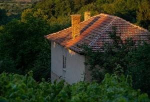 Невидимият гигант: защо обновяването на българските къщи буксува