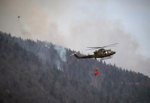 Огнена заплаха: Управление на горските пожари в България