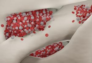 Австралийски учени създадоха първата молекулярна карта на костния мозък